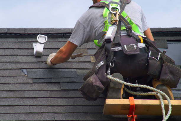 Best Storm Damage Roof Repair  in Bayou La Batre, AL