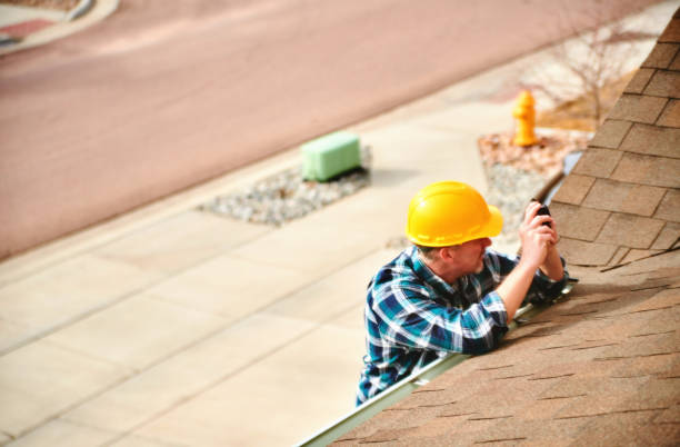 Best Roof Gutter Cleaning  in Bayou La Batre, AL