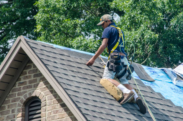 Best Emergency Roof Repair  in Bayou La Batre, AL